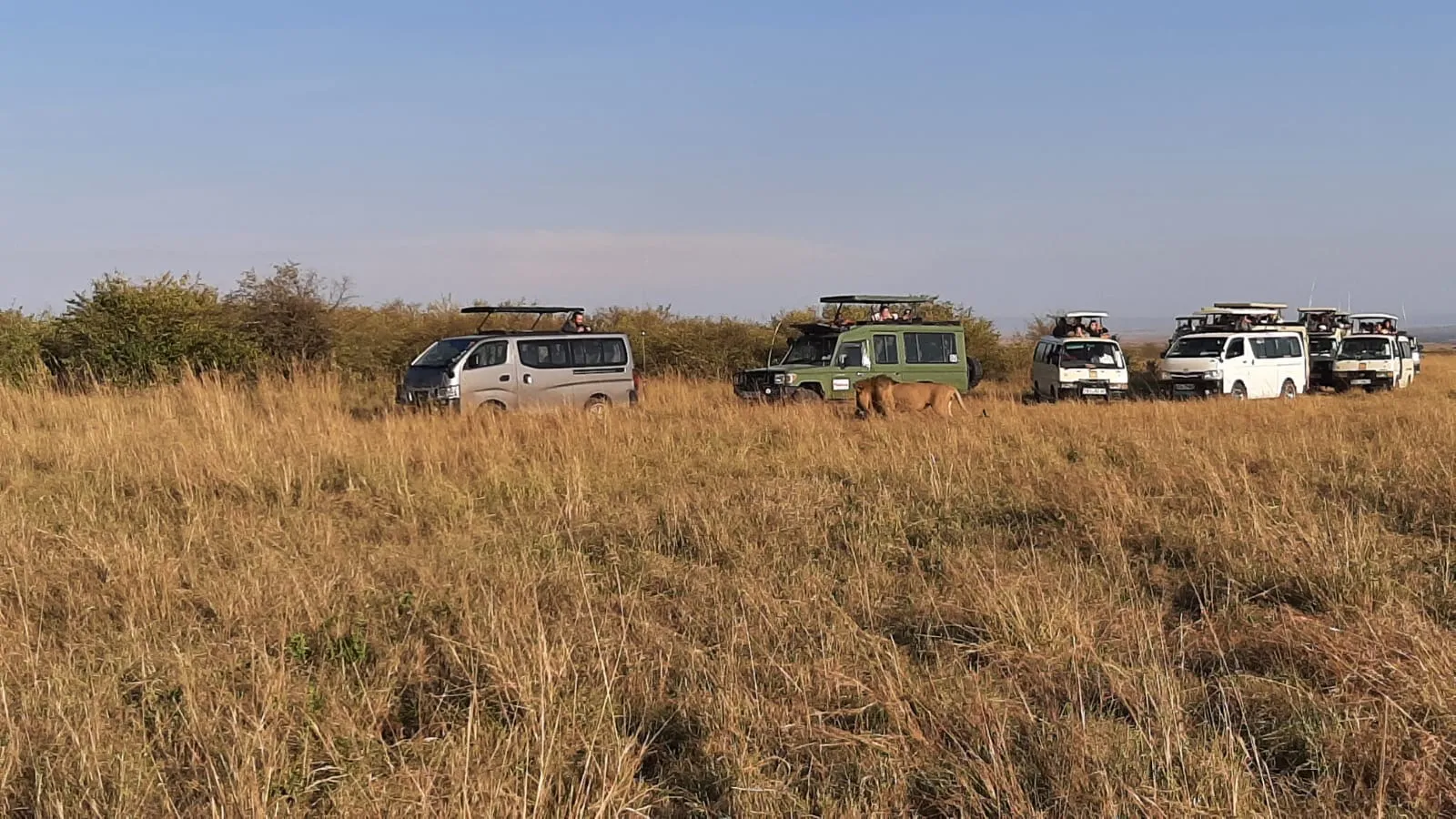 4x4 Safari Vehicle Hire Kenya