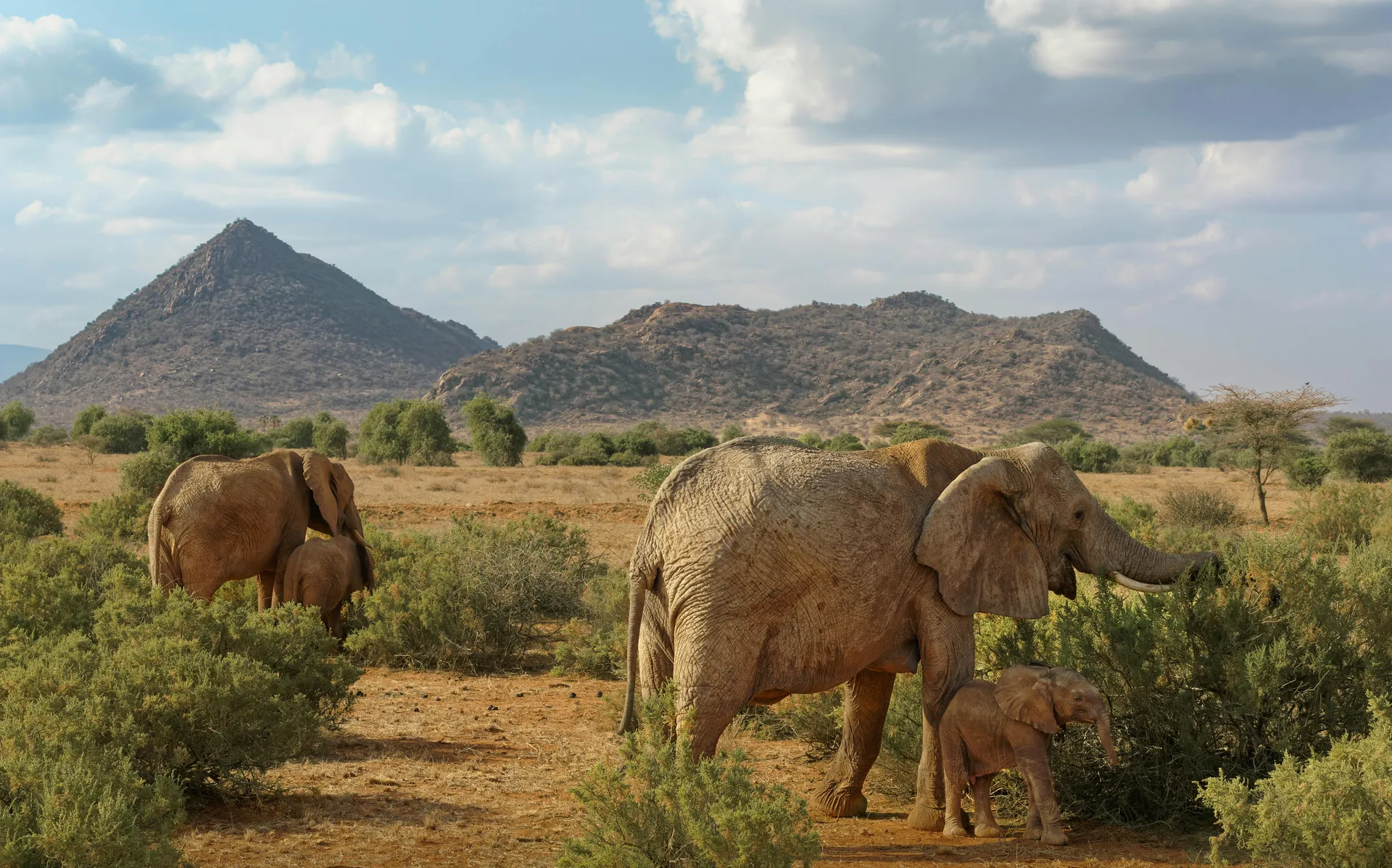Amboseli, Tsavo West & Taita Hills