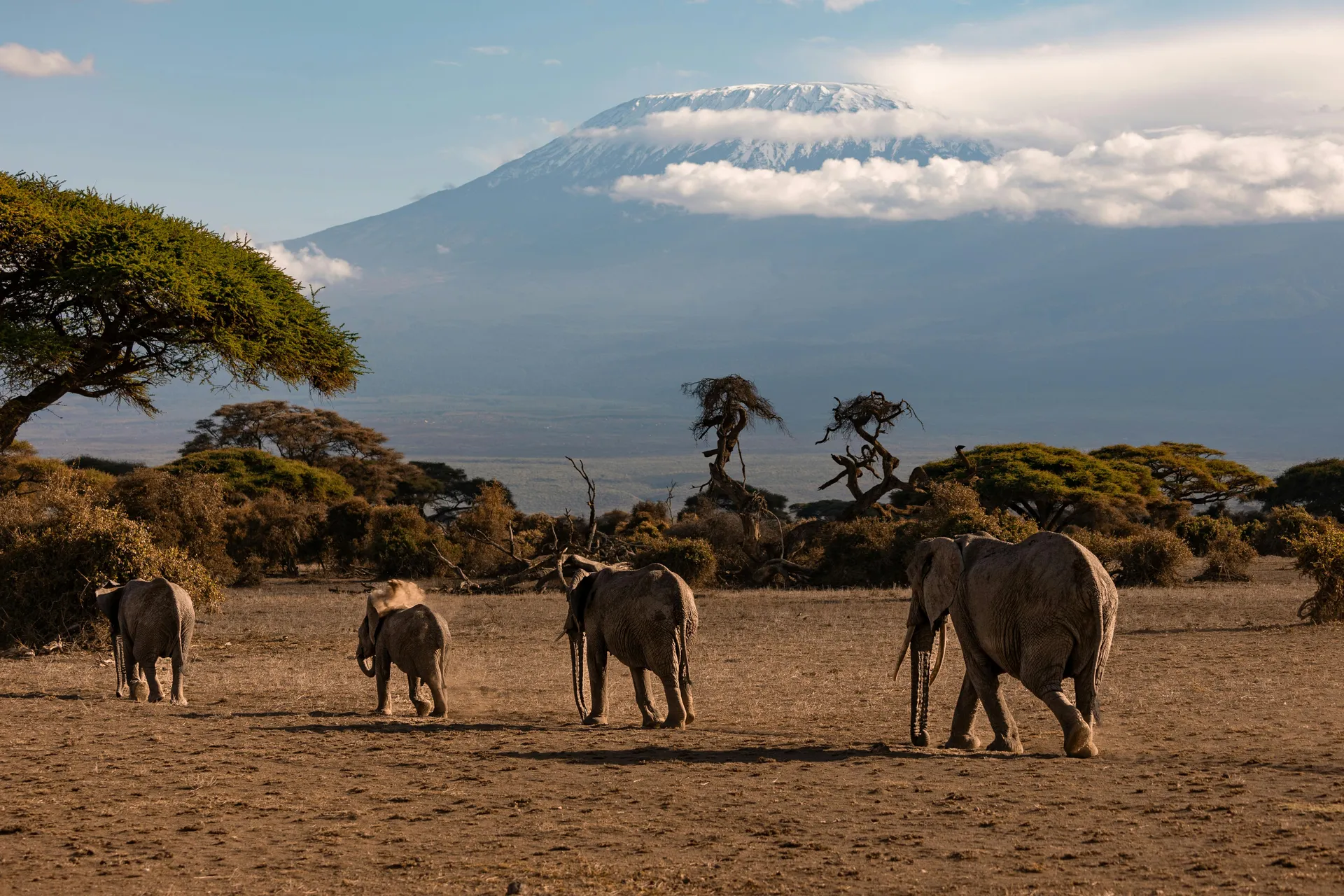 5 Days Amboseli & Tsavo West Safari