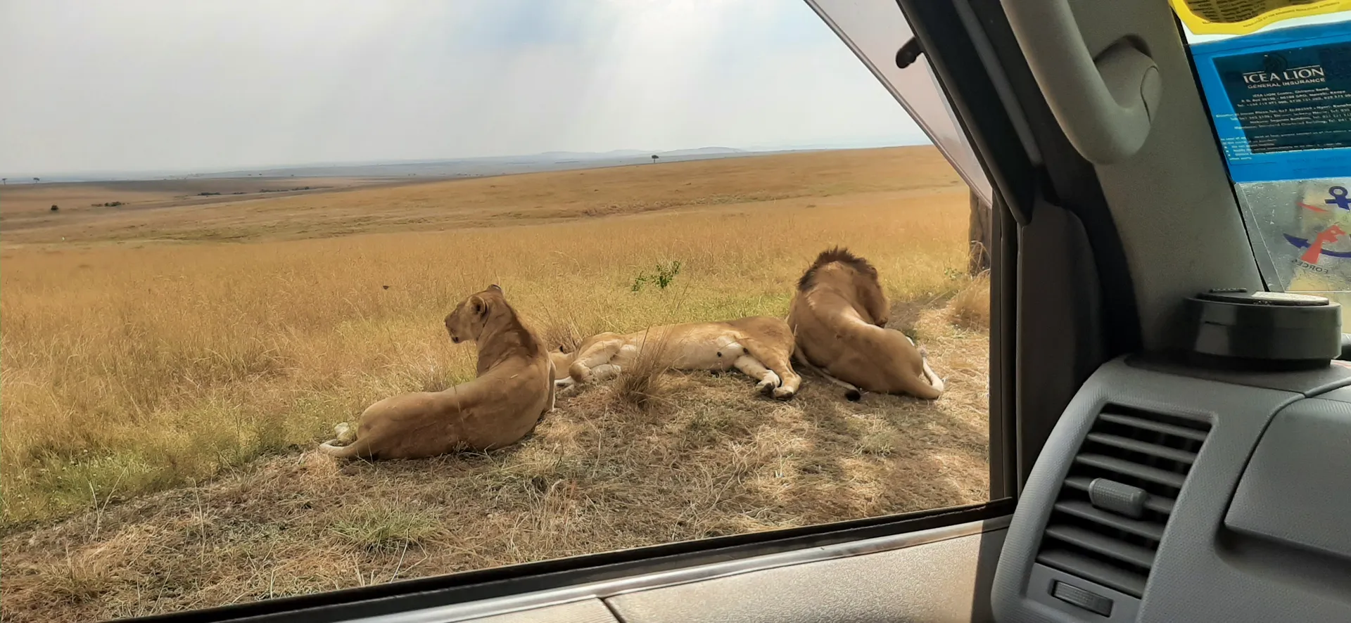 10 Days Grand Kenya Circuit to Coast