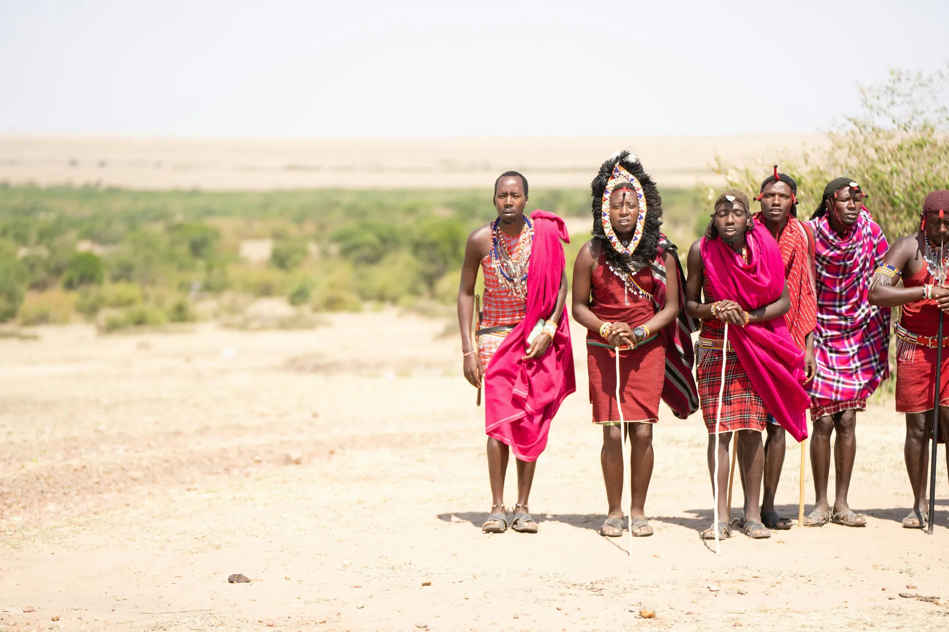 6 Days Coast & Safari Wellness