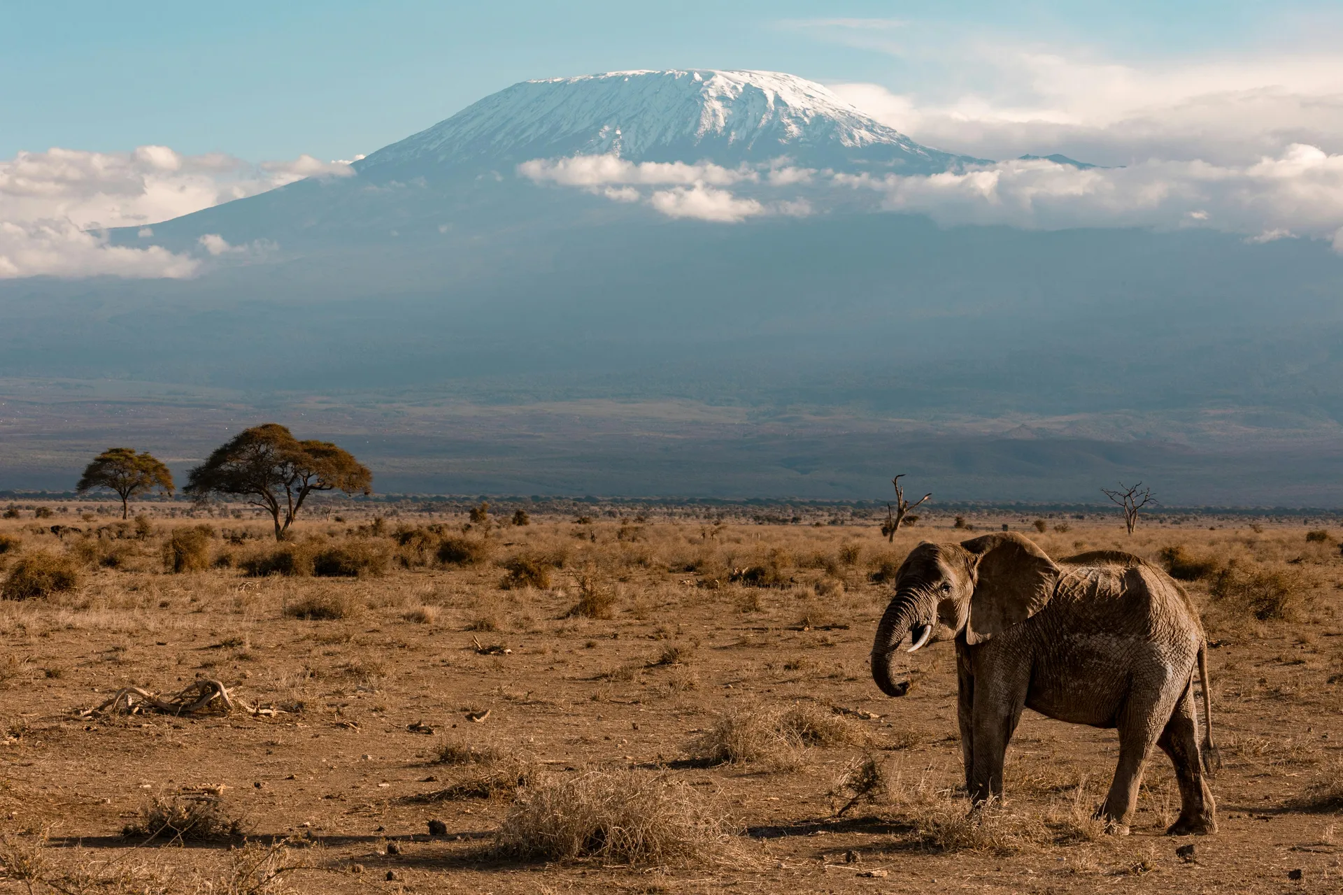 Luxury Walking Safari in Laikipia