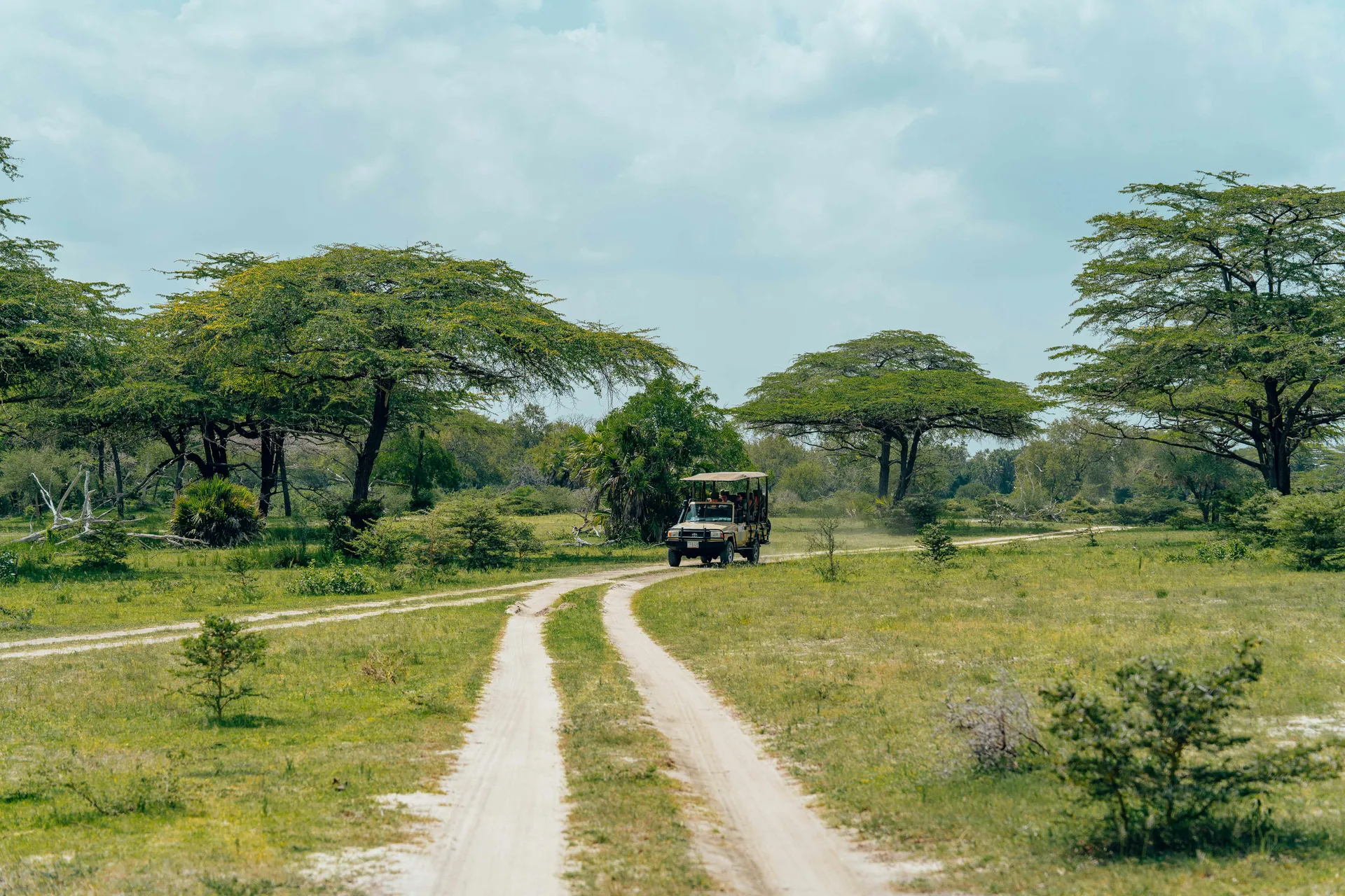 1 Day Nairobi National Park Safari