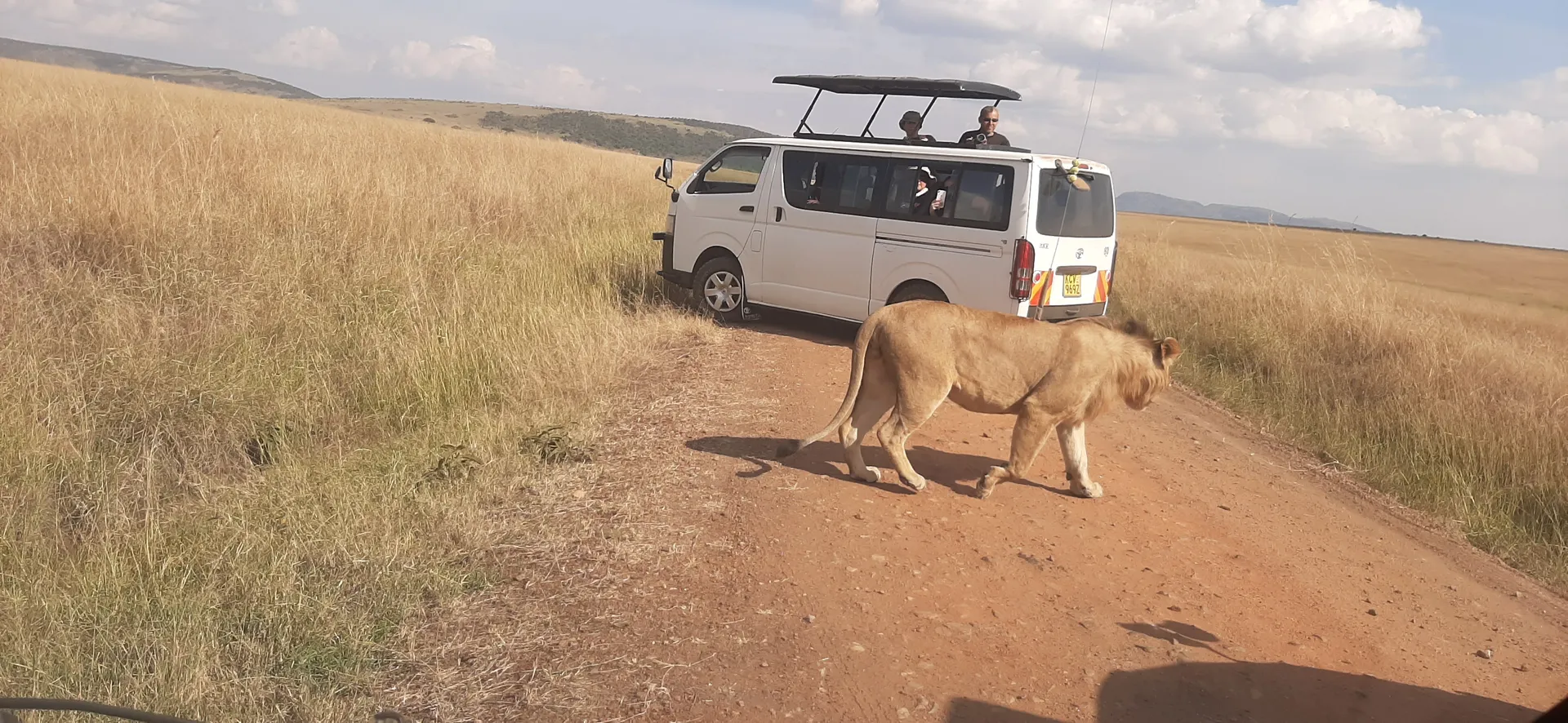 Mara, Naivasha, Amboseli, Taita & Tsavo